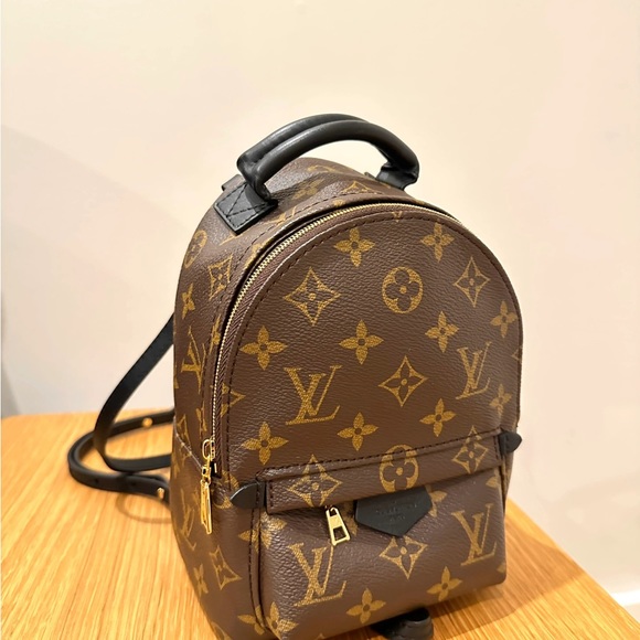 LV Palm Spring Mini Backpack | Excellent Condition - Picture 3 of 7